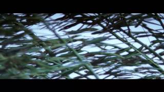 The Other Woman by Jeff Buckley  ~g.hOst~RMX~