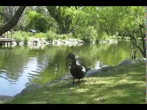 Summertime in Cuenca Ecuador January 2016
