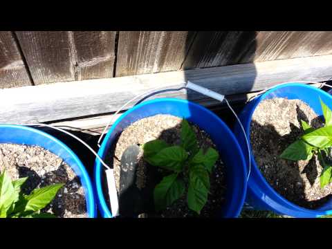 Gardening with gypsum