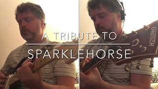Painbirds (Sparklehorse Cover)