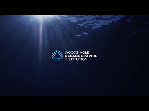 download lagu mp3 mp4 Whoi, download lagu Whoi gratis, unduh video klip Whoi