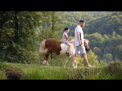 Pensiunea Poiana Verde - Slănic Moldova.