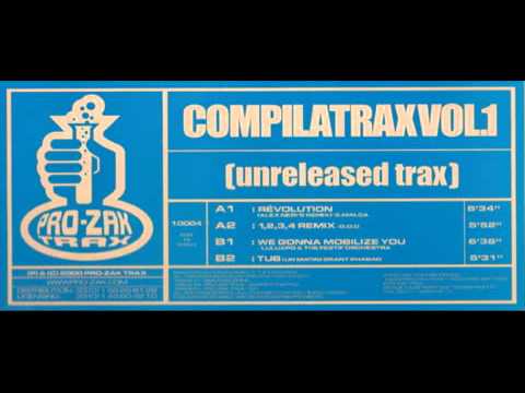Luluxpo & The Festif Orchestra - We Gonna Mobilize You - Pro-Zak Trax - 2000