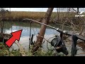 CARP RUN COMPILATION 2025