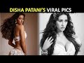 Disha Patani Sizzles In A White Bralette And Mini Skirt