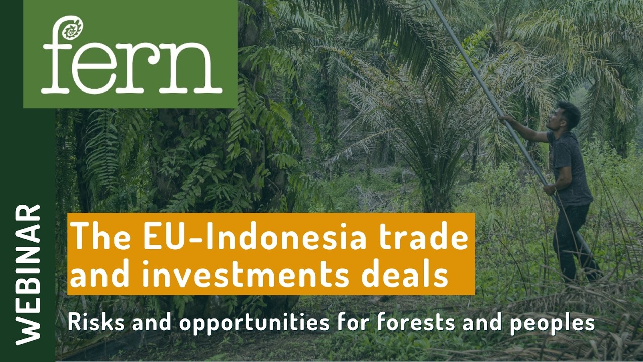The EU-Indonesia trade and investments deals: Risks and opportunities for forests and peoples