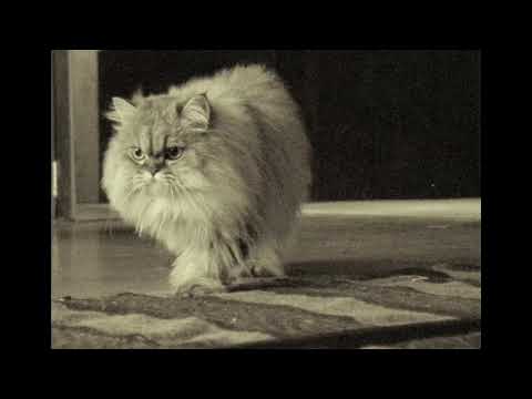 Uma Wang Paris Woman SS 2021