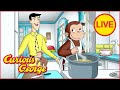 Cooking With George Curious George Marathon Kids Cartoon Kids Movies