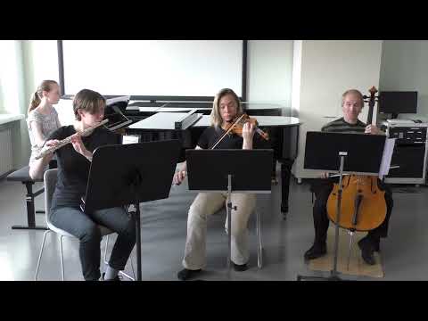 Alan Menken: Kingdom dance (Tangled), Arranged for piano, flute, violin and cello by Anja Goller