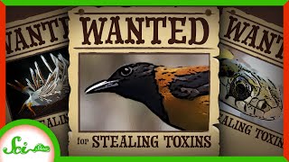 5 Toxins Animals Steal For Themselves