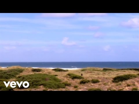 Adalita - The Repairer