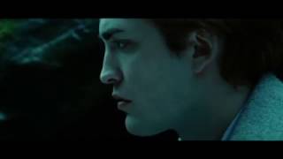 СУМЕРКИ/Twilight