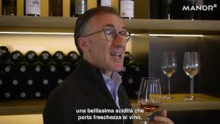 MANOR - La selezione di vini di Paolo Basso: Lampe de Méduse