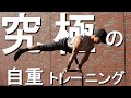 【究極の自重トレ】プランシェ1年間の成長記録・一年でここまで変われる!INCREDIBLE PLANCHE PROGRESSION/From 0 to Monster/Street Workout