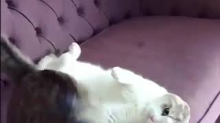 Download lagu Tercyduk sdng mlakukan ini..πΉπΈ mp3 Download lagu Tercyduk sdng mlakukan ini..πΉπΈ mp3