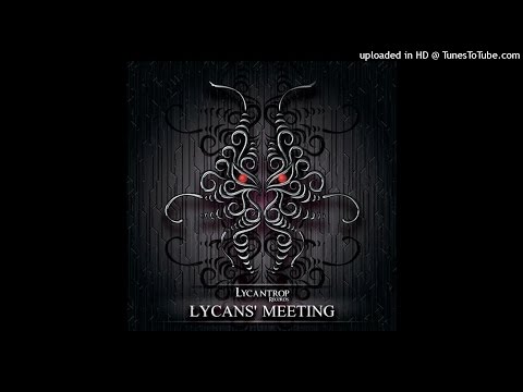 Already Maged - Dusty Spiders