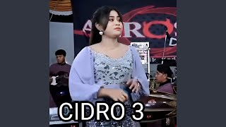 Download lagu CIDRO 3 mp3