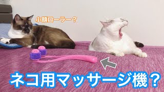 3匹のネコとコロコロ マッサージローラー