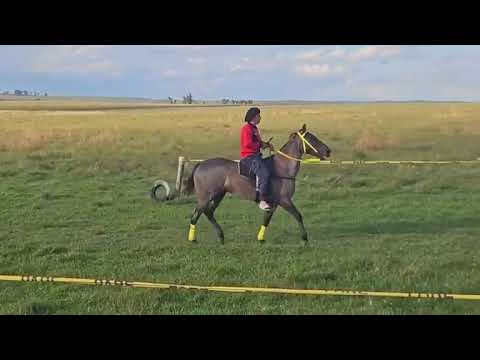 De las pruebas cortas en Arévalo, Cerro Largo - 27° edición del UNIDOS POR LA AMISTAD - 12/04/2026