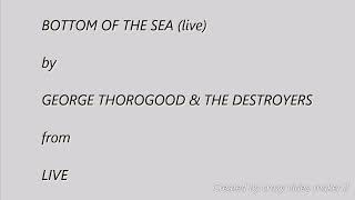 Bottom Of The Sea  live