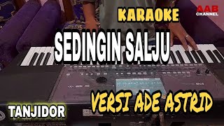 Download lagu Karaoke sedingin salju - Versi tanjidor ade astrid - nada wanita mp3
