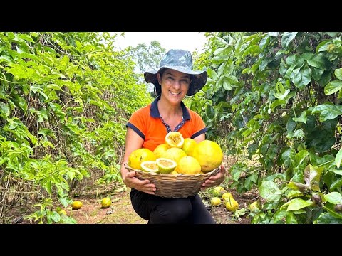 Passion fruit is life! Everything about this wonderful fruit