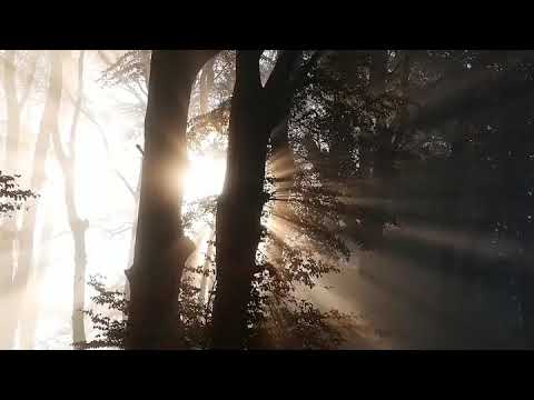 Dheere Dheere | Kabir Doha Fusion - Ankit Sharda