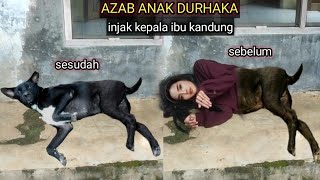 Download lagu Azab anak durhaka !! tertangkap oleh warga setelah berubah jadi anjing... mp3 Download lagu Azab anak durhaka !! tertangkap oleh warga setelah berubah jadi anjing... mp3