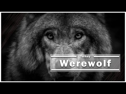 Werewolf ❤💙 | Babel Gustavo Bravetti