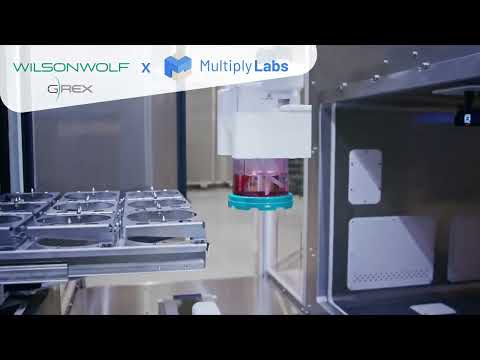 Multiply Labs and Wilson Wolf Collaborate to Automate G-Rex for Cell Therapy Manufacturing