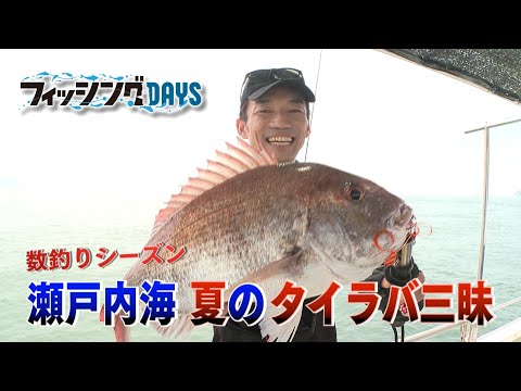 【フィッシングDAYS】#65 数釣りシーズン 瀬戸内海 夏のタイラバ三昧