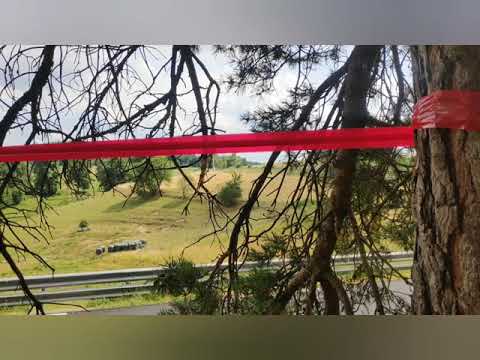 Course de côte de Dunières 2019