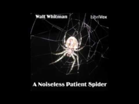 7  a noiseless patient spider s A Noiseless Patient Spider by Walt Whitman [POEM]
