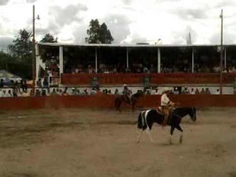 mangana a caballo hacienda tamariz
