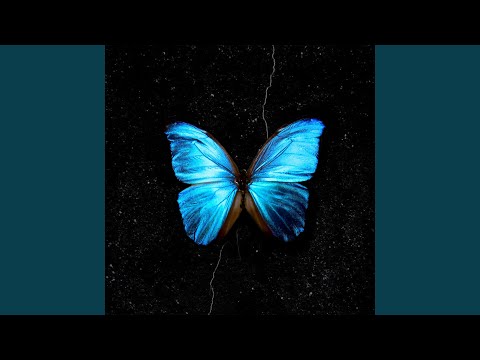 Effetto farfalla RMX (feat. Lil Kneaded) (Remix)