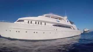 Blue O Two Project Shark Simply The Best GoPro