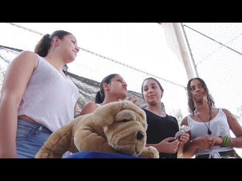 Alunos de escola pública criam biscoito de cachorro que previne o câncer