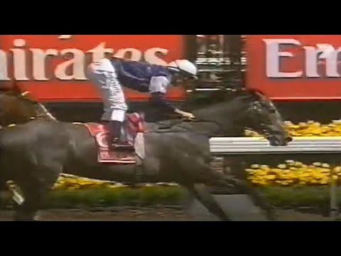 2007/2008 Season (3/7) Cox Plate Day - Sandown Classic