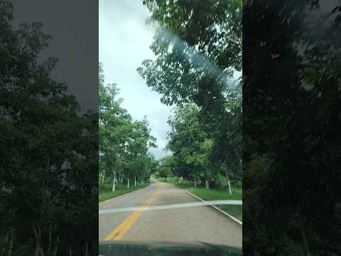 Entrada de Xapuri Acre ❤️❤️❤️