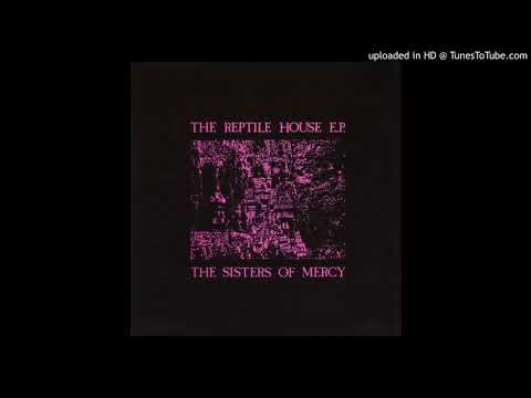 Kiss The Carpet cover