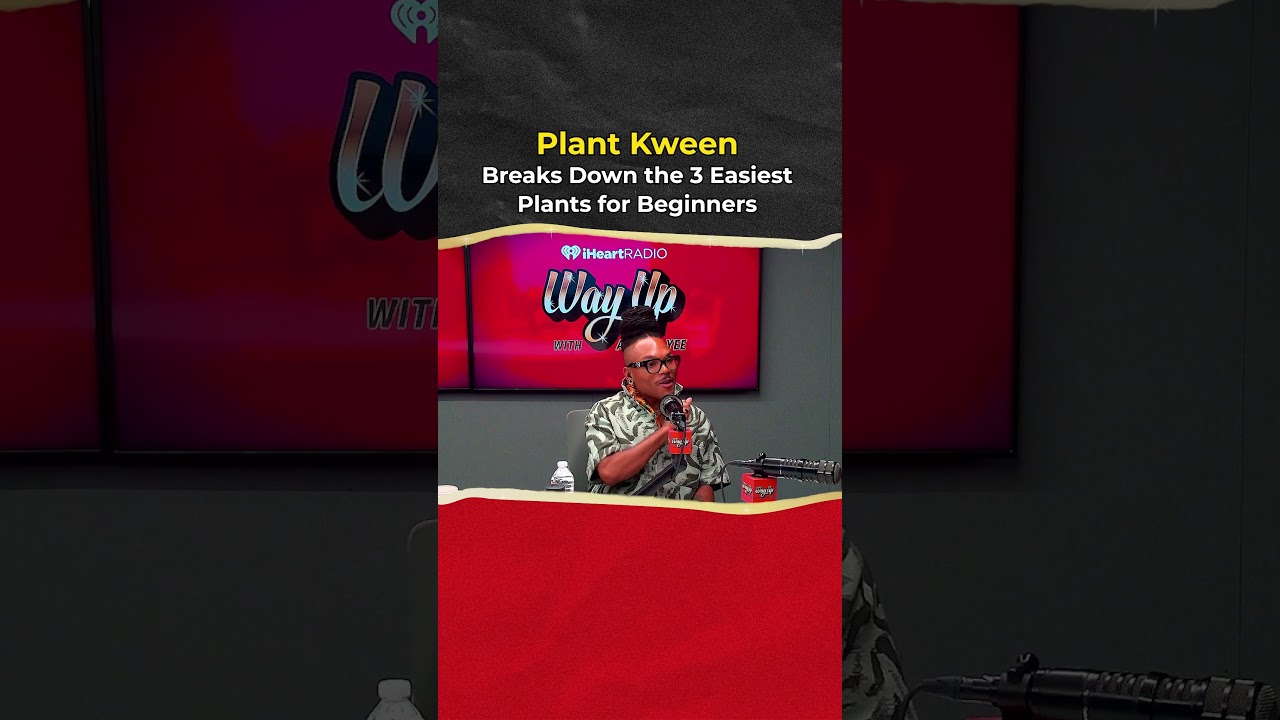 The Art of Baking: From Classic Bread to Artisan Pastries