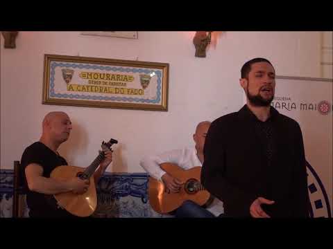 Freud Mamede - "Saudades da tua voz" (João Fezas Vital /  Miguel Ramos)