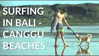 Where to Surf in Canggu - How to Bali