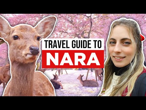 究極の奈良ガイド (Ultimate Guide to NARA, JAPAN)