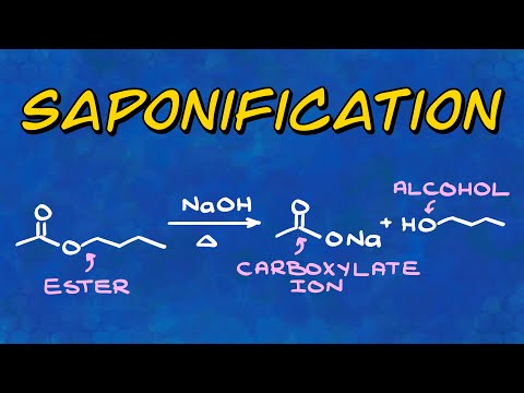 Saponification Reaction of Esters