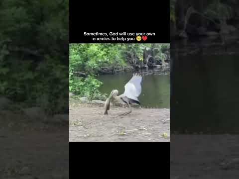 Sometimes, God will use your own enemies to help you 🥹❤️