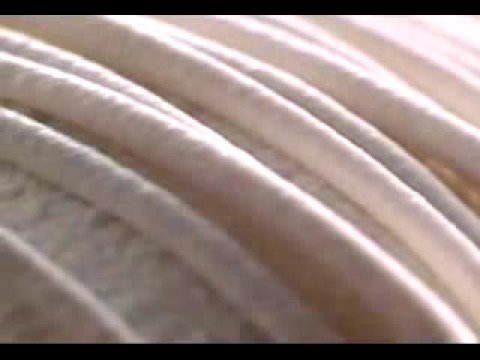 沙雪　　椎名法子