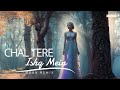 Chal Tere Ishq Mein -Debb Remix | Melodic Progressive | Vishal Mishra | Neeti Mohan | Gadar 2