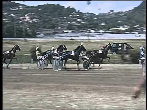 Trotto 14/06/2015 - 2° corsa