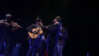 Jungle Bird  - The Punch Brothers (Live in Geneva)